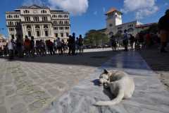 Cuba - Havana / Kuba - Hawana 30-12-2015