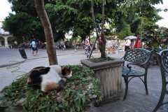 Cuba - Havana / Kuba - Hawana 30-12-2015