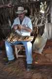 Cuba - Valle de Vinales  / Kuba - dolina Valle de Vinales 31-12-2015