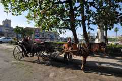 Cuba - Havana / Kuba - Hawana 01-01-2016