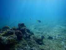 Cuba - Maria La Gorda / Kuba - Maria La Gorda 03-01-2016