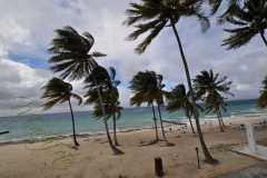 Cuba - Maria La Gorda / Kuba - Maria La Gorda 04-01-2016