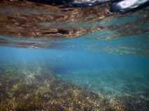 Cuba - Playa Ancon / Kuba - Playa Ancon 07-01-2016