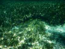 Cuba - Playa Ancon / Kuba - Playa Ancon 07-01-2016