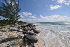 Cuba - Cayo Largo del Sur / Kuba - Cayo Largo del Sur 09-01-2016