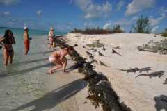 Cuba - Cayo Largo del Sur / Kuba - Cayo Largo del Sur 10-01-2016