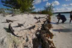 Cuba - Cayo Largo del Sur / Kuba - Cayo Largo del Sur 10-01-2016