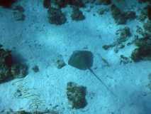 Cuba - Cayo Largo del Sur / Kuba - Cayo Largo del Sur 10-01-2016