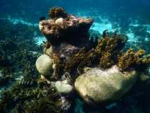 Cuba - Cayo Largo del Sur / Kuba - Cayo Largo del Sur 10-01-2016