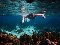 Cuba - Cayo Largo del Sur / Kuba - Cayo Largo del Sur 10-01-2016