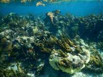 Cuba - Cayo Largo del Sur / Kuba - Cayo Largo del Sur 10-01-2016