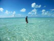 Cuba - Cayo Largo del Sur / Kuba - Cayo Largo del Sur 10-01-2016
