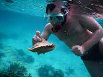 Cuba - Cayo Largo del Sur / Kuba - Cayo Largo del Sur 10-01-2016