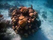 Cuba - Cayo Largo del Sur / Kuba - Cayo Largo del Sur 10-01-2016