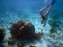 Cuba - Cayo Largo del Sur / Kuba - Cayo Largo del Sur 10-01-2016