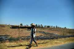 Madagascar / Madagaskar 25-09-20166-