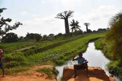 Madagascar - Avenue of the Baobabs / Madagaskar - Aleja Baobabów 26-09-2016