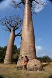 Madagascar - Avenue of the Baobabs / Madagaskar - Aleja Baobabów 26-09-2016