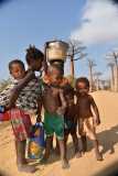 Madagascar - Avenue of the Baobabs / Madagaskar - Aleja Baobabów 26-09-2016