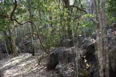 Madagascar / Madagaskar - Tsingy De Bemaraha 27-09-2016