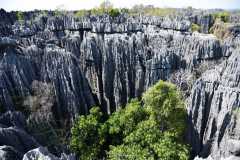 Madagascar / Madagaskar - Tsingy De Bemaraha 27-09-2016