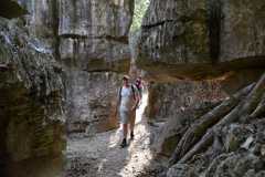 Madagascar / Madagaskar - Tsingy De Bemaraha 27-09-2016