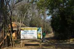 Madagascar / Madagaskar - Kirindy Mitea National Park 28-09-2016