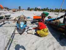 Madagascar / Madagaskar - Morondava 29-09-2016
