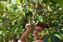 Madagascar / Madagaskar - Reserve Peyrieras Madagascar Exotic 01-10-2016