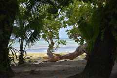 Madagascar / Madagaskar - Iles Aux Nattes Island 05-10-2016