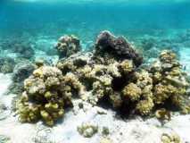 Madagascar / Madagaskar - Iles Aux Nattes Island 05-10-2016