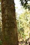 Madagascar / Madagaskar - National Park Andasibe 02-10-2016