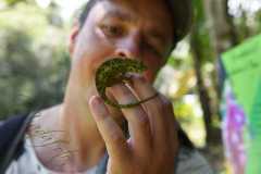 Madagascar / Madagaskar - National Park Andasibe 02-10-2016