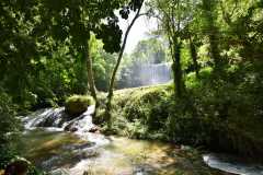 Spain / Hiszpania - Parque Natural del Monasterio de Piedra 22-06-2019