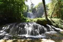 Spain / Hiszpania - Parque Natural del Monasterio de Piedra 22-06-2019
