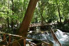 Spain / Hiszpania - Parque Natural del Monasterio de Piedra 22-06-2019