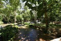 Spain / Hiszpania - Parque Natural del Monasterio de Piedra 22-06-2019