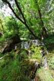 Spain / Hiszpania - Parque Natural del Monasterio de Piedra 22-06-2019