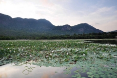 Vietnam / Wietnam - Con Dao 06-04-2014