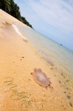 Vietnam / Wietnam - Phu Quoc 08-04-2014