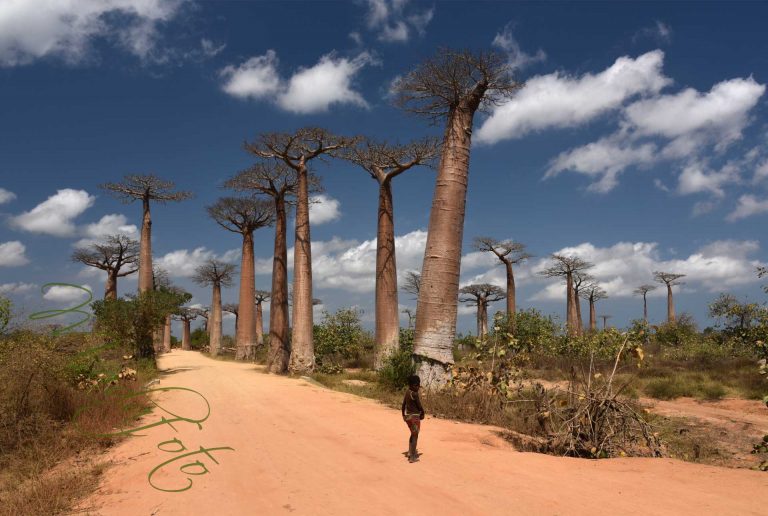 Madagaskar – Podstawowe Informacje i Nasz Plan Podróży